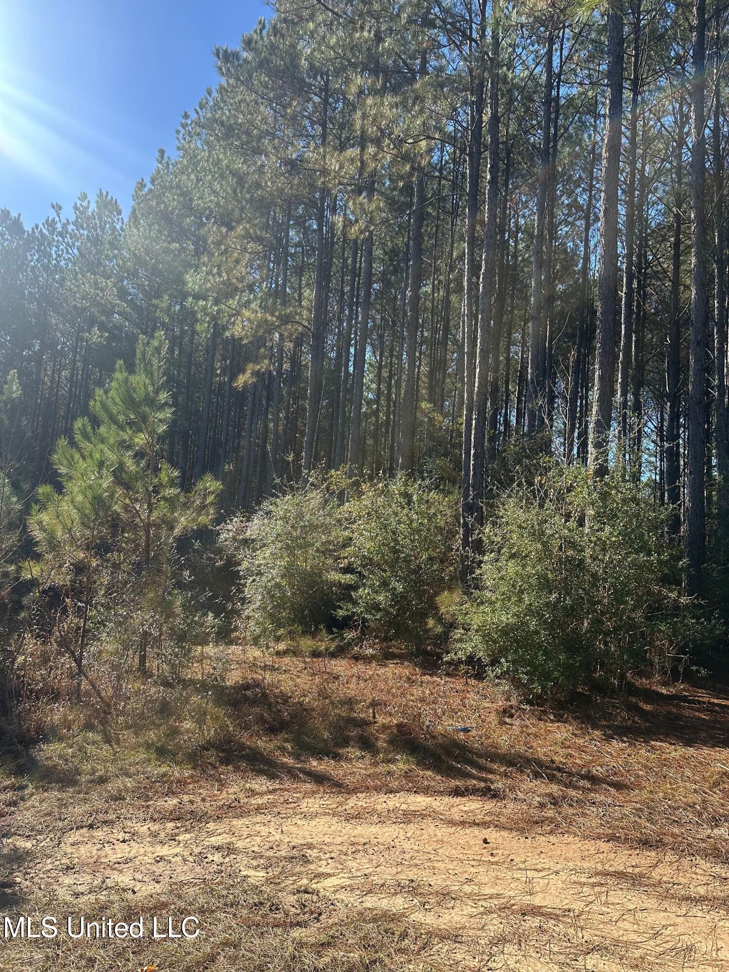 Deer Ridge Road McComb, MS 39648 - Photo 10 of 15 IMG_4234