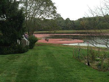 78 Cotuit Road Sandwich, MA 02563 - Photo 61 of 68 78 Cotuit Bog 1