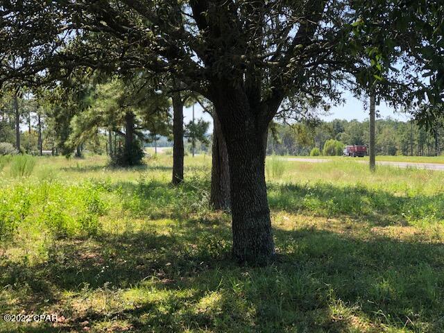 4465 Highway 77 Chipley, FL 32428 - Photo 6 of 27