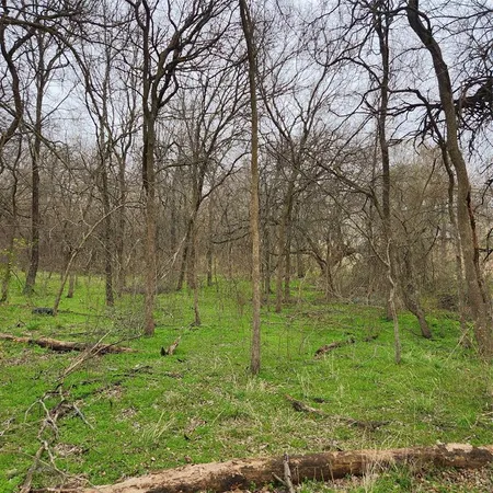 a big yard with lots of green space and trees