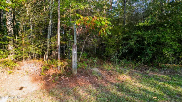 $33,000 | Lot E-16 Lot E-16 Windstone Street, Hattiesburg, MS 39402