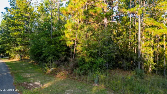 $33,000 | Lot E-16 Lot E-16 Windstone Street, Hattiesburg, MS 39402