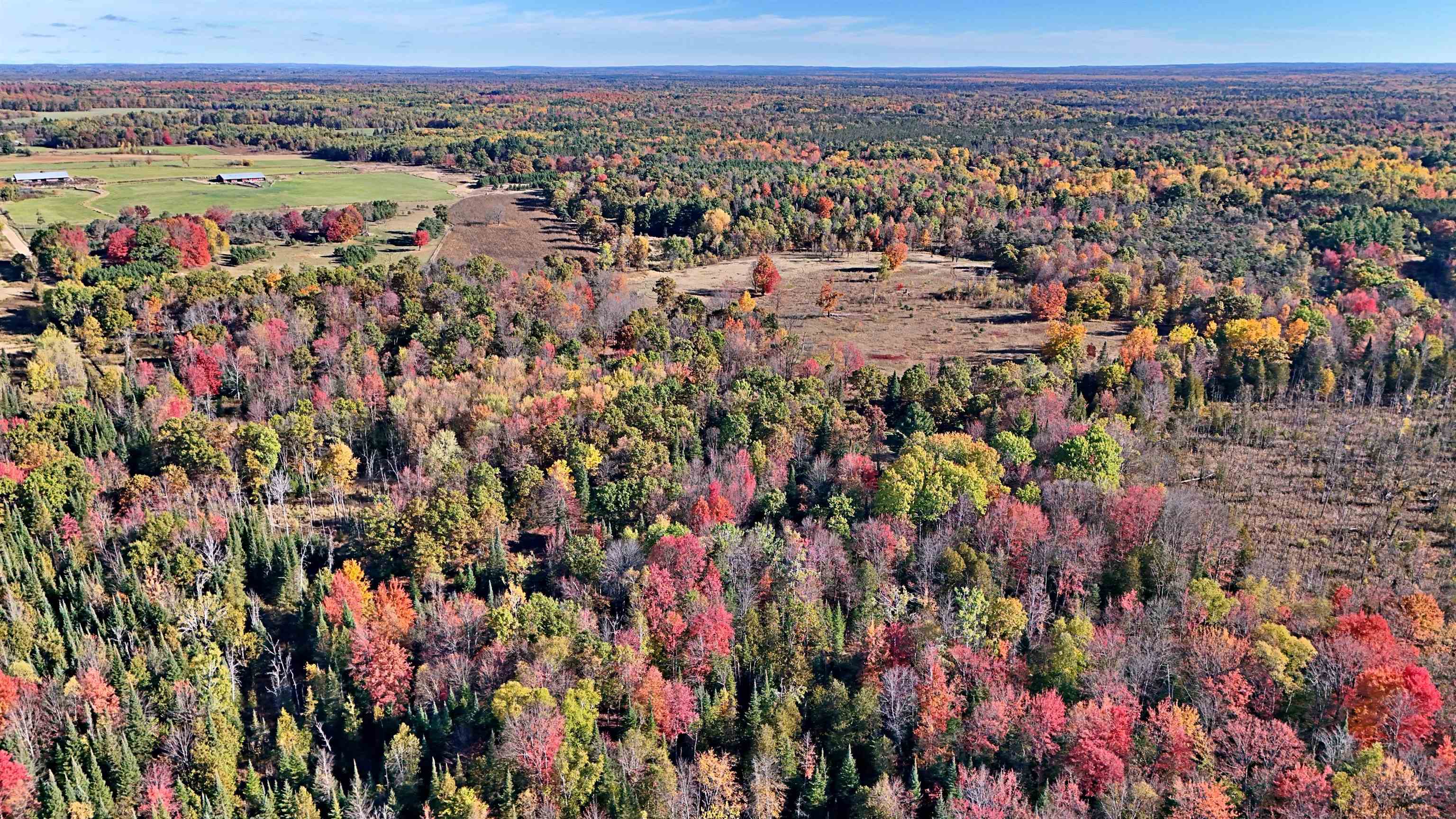 0 Twin Lake Road Marion, MI 49665 - Photo 13 of 33
