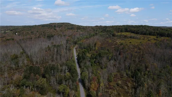 $34,900 | Lot 11 Sisson Hill Road, Unadilla, NY 13849