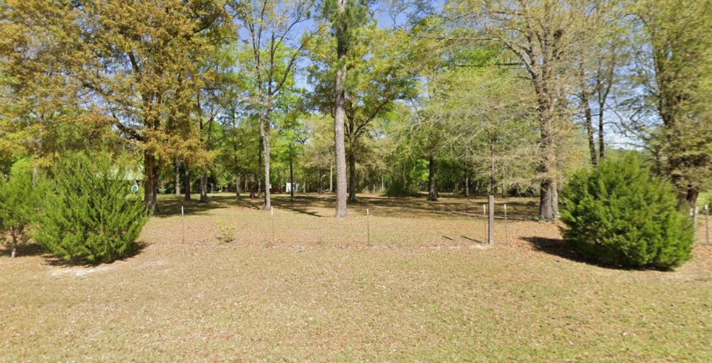 17639 North Creek Road Florala, AL 36442 - Photo 7 of 40