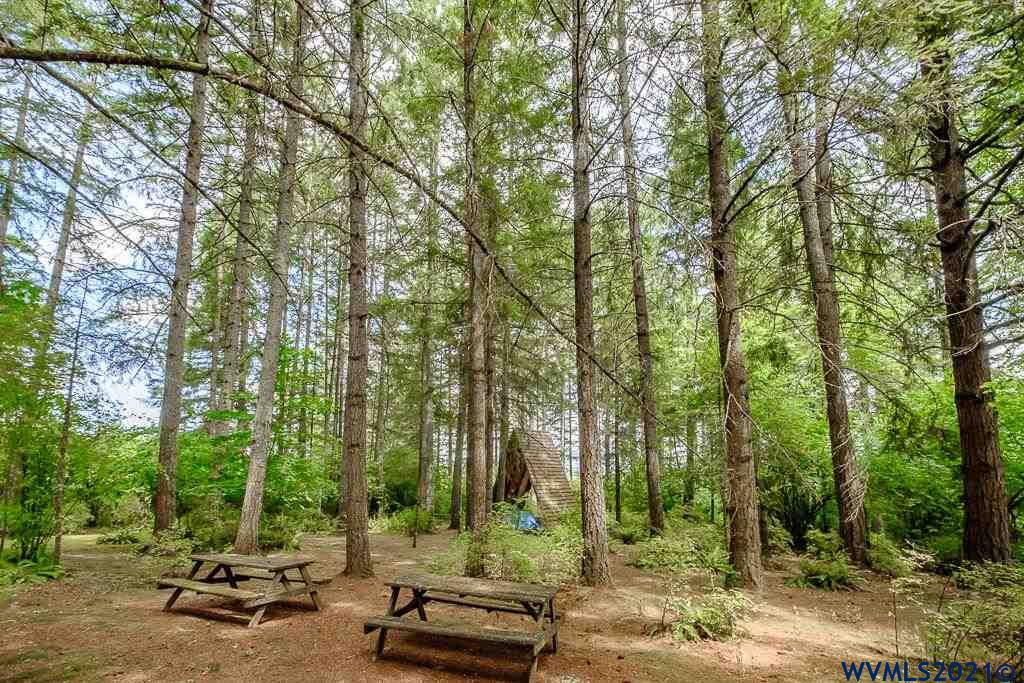 35069 Ede Road Lebanon, OR 97355 - Photo 5 of 42
