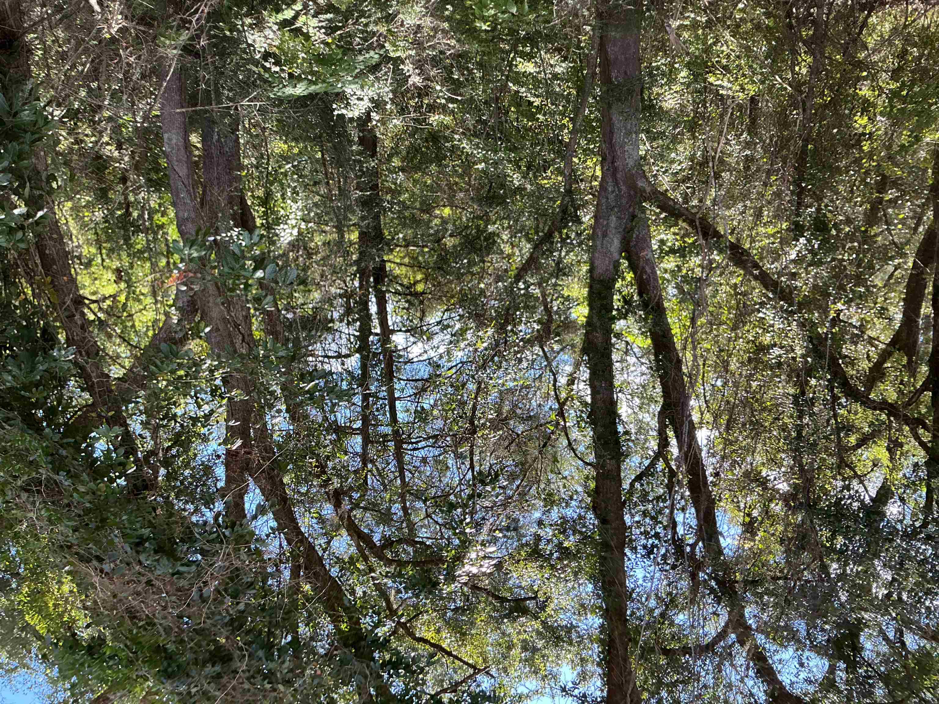 35 Falco Road Andalusia, AL 36420 - Photo 13 of 21 Gallery Image 13