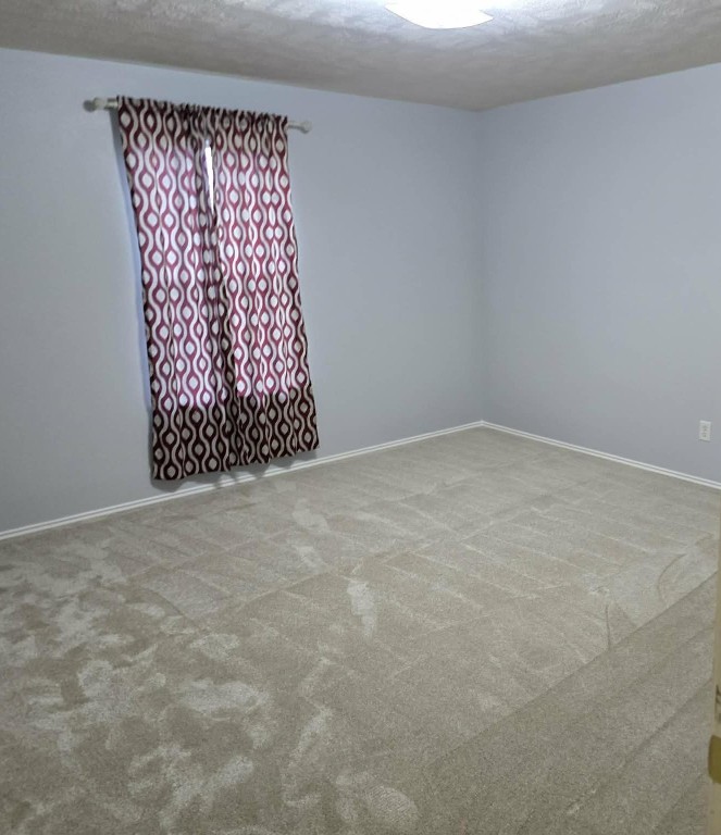 3723 Rowlock Vine Drive Houston, TX 77084 - Photo 20 of 27