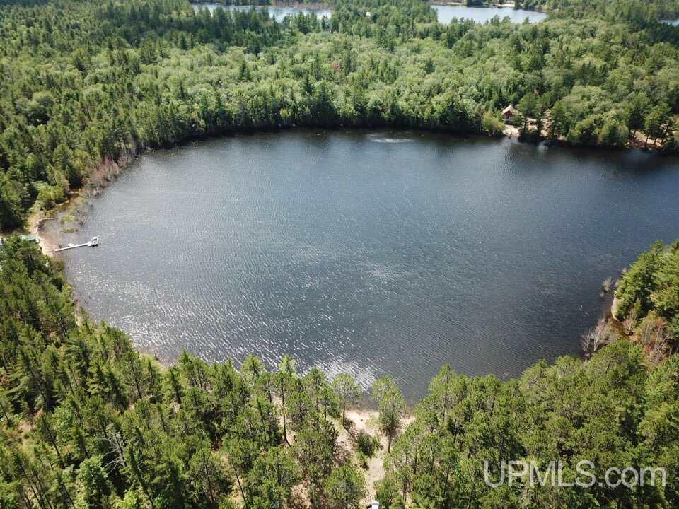 Tbd Adams Trail Seney, MI 49883 - Photo 13 of 16
