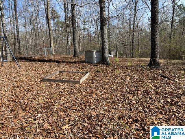 2055 Sprayberry Road Pell City, AL 35125 - Photo 10 of 11