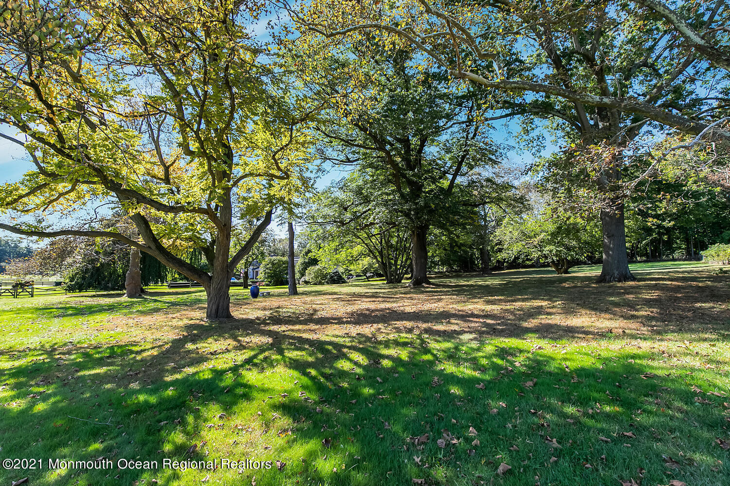 299 Cooper Road Middletown, NJ 07701 - Photo 27 of 27 a view of a yard with a tree