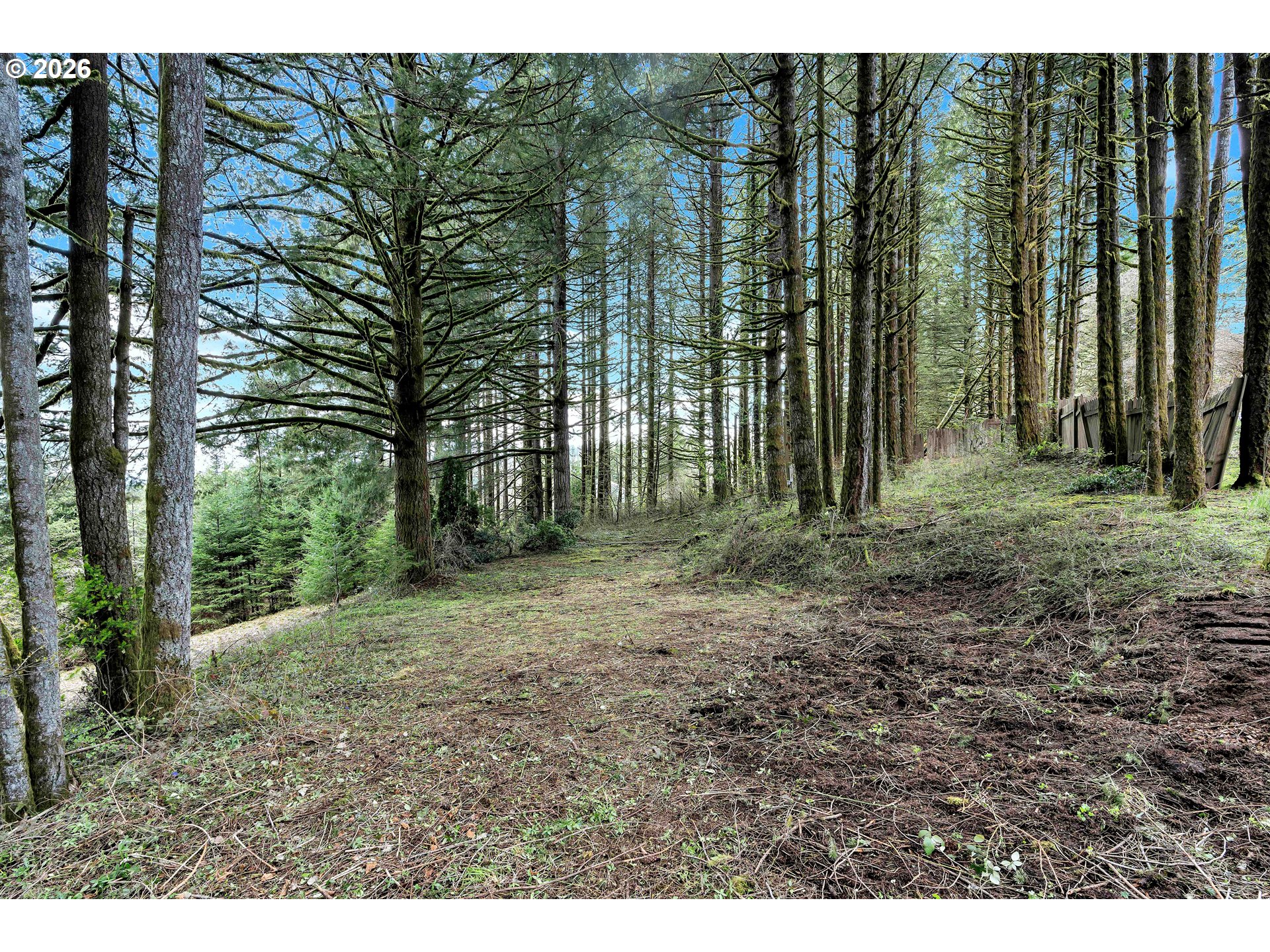 22900 Southwest Holly Hill Road Hillsboro, OR 97123 - Photo 3 of 10 a view of backyard with green space