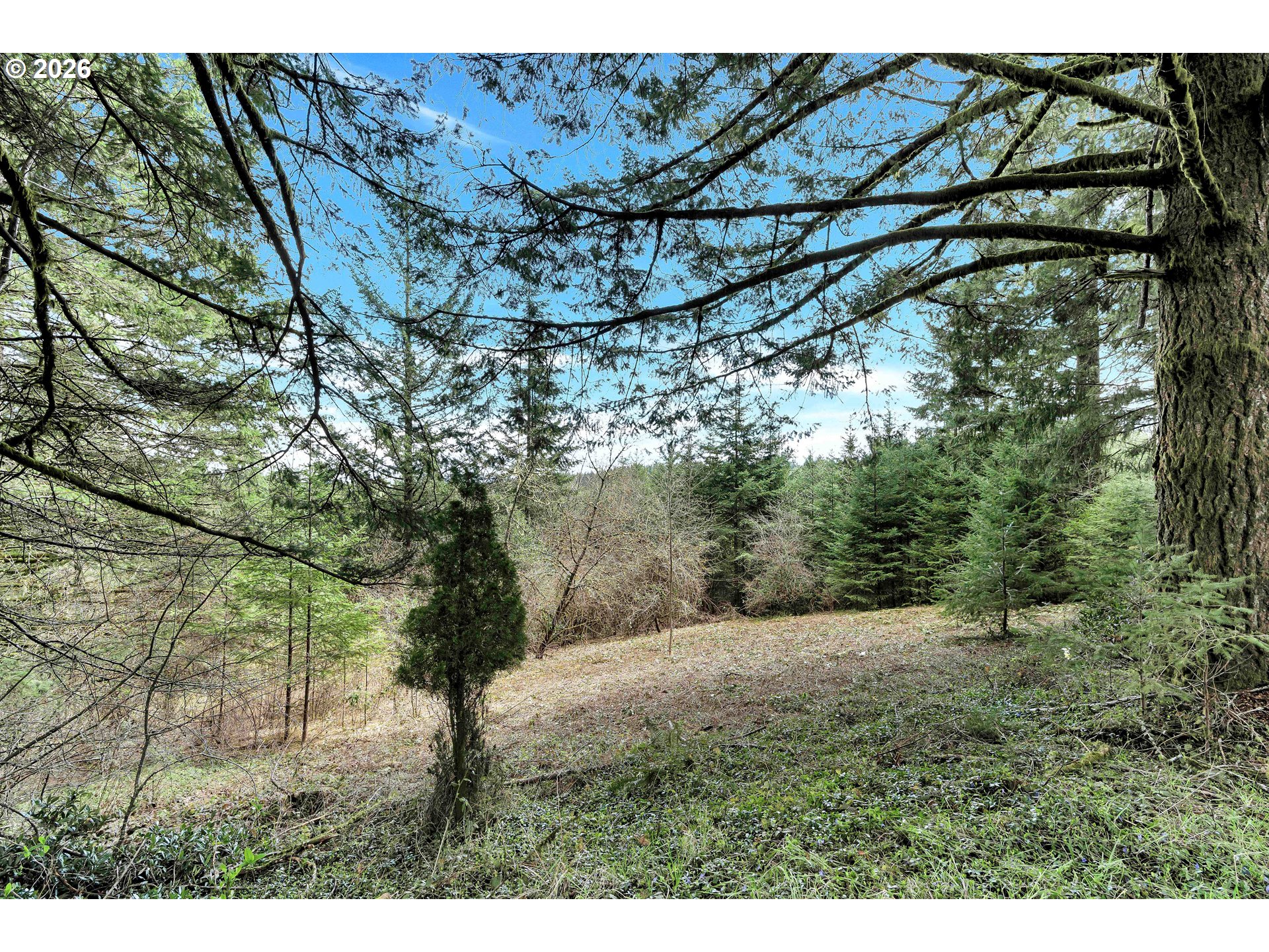 22900 Southwest Holly Hill Road Hillsboro, OR 97123 - Photo 5 of 10 a view of a yard with an outdoor space