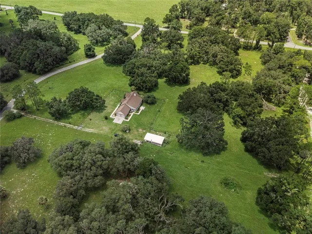 a view of a grassy area with an trees