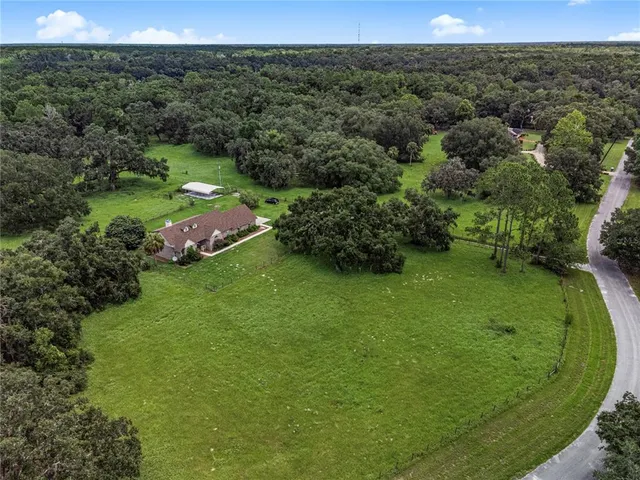 a view of a lush green outdoor space with a swimming pool