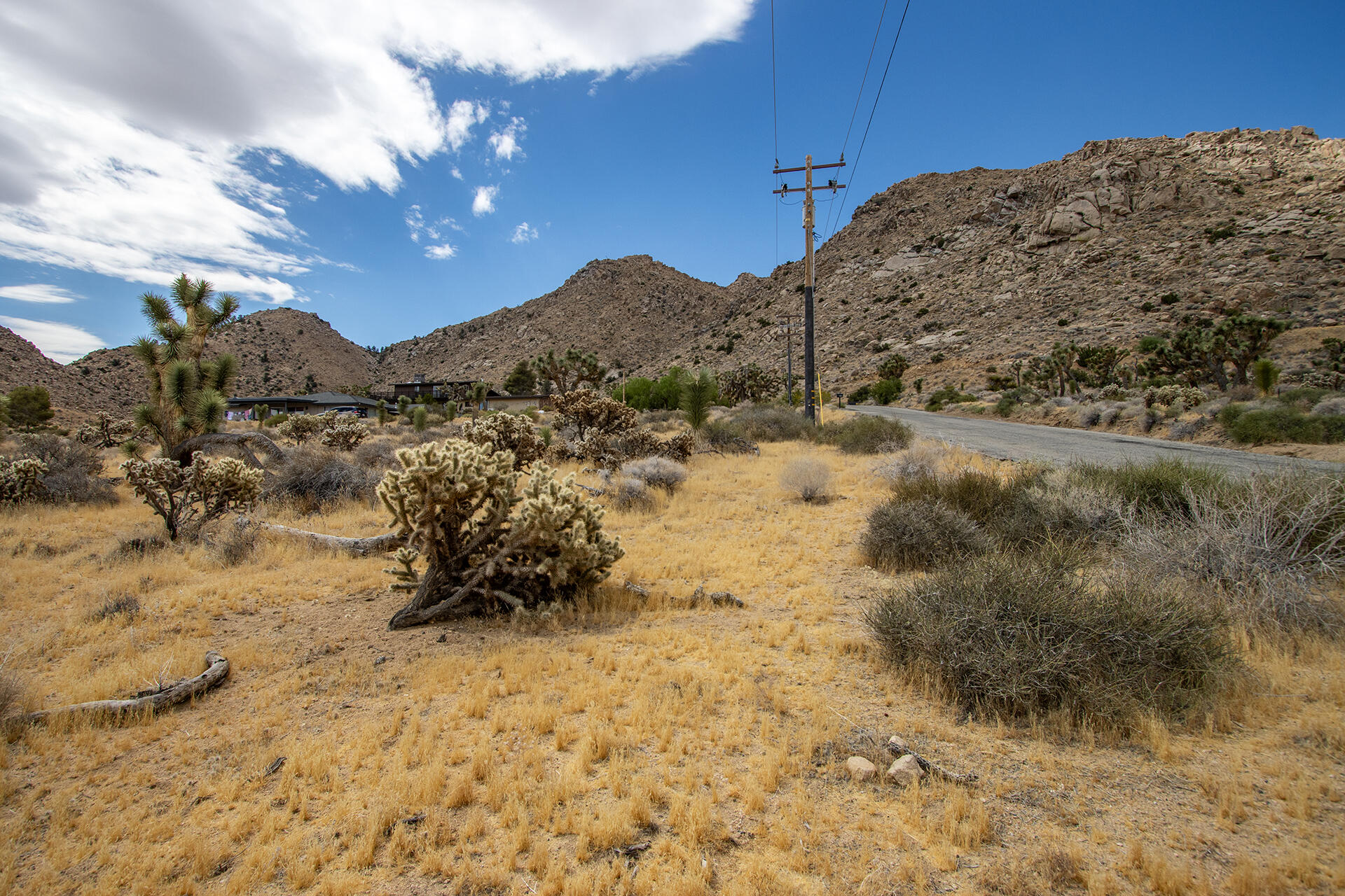 8021 Wesley Road Joshua Tree, CA 92252 - Photo 12 of 25 IMG_1899