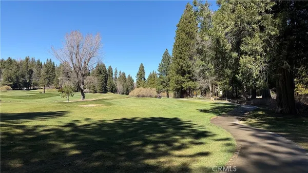 a view of a large yard with large trees