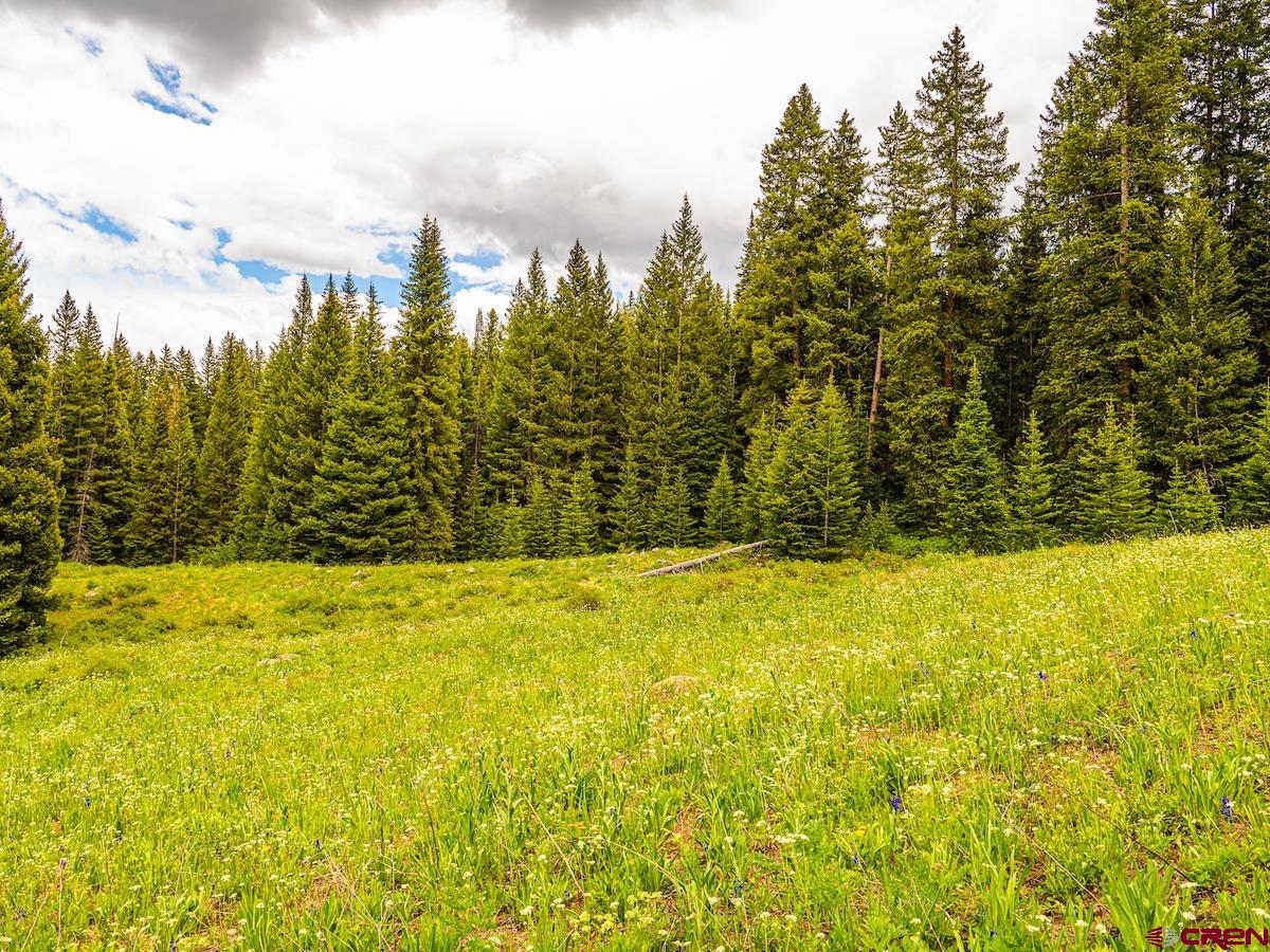 1590 Red Mountain Ranch Road Crested Butte, CO 81224 - Photo 29 of 35 Gallery Image 29