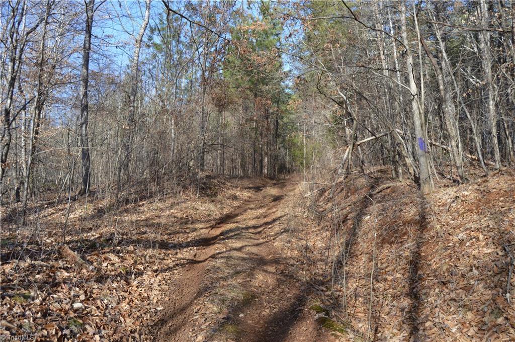 0 Moir Farm Road Danbury, NC 27016 - Photo 2 of 26 Gallery Image 2
