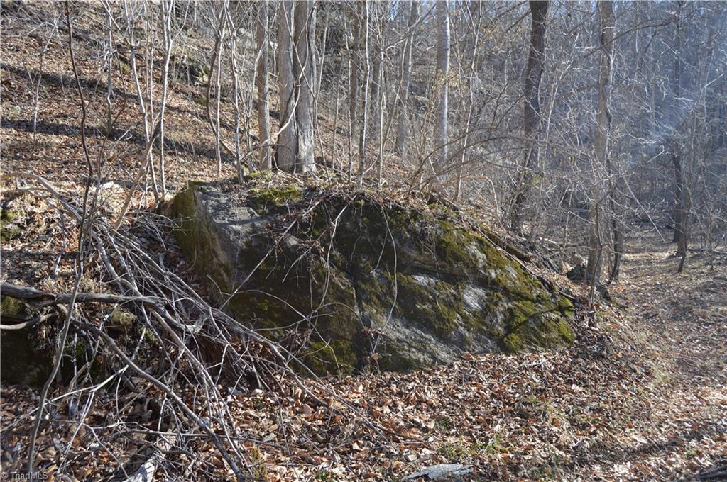 0 Moir Farm Road Danbury, NC 27016 - Photo 11 of 26 Gallery Image 11