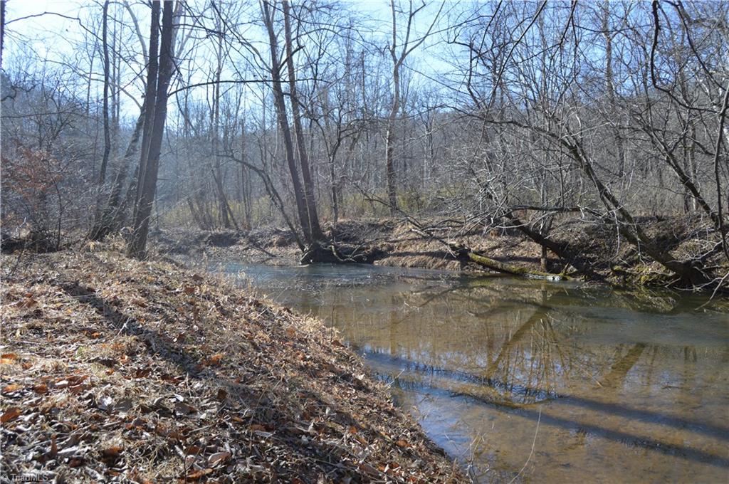 0 Moir Farm Road Danbury, NC 27016 - Photo 12 of 26 Gallery Image 12