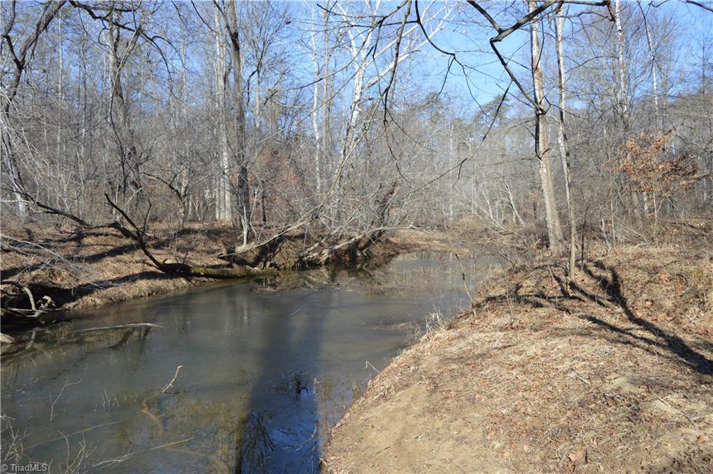 0 Moir Farm Road Danbury, NC 27016 - Photo 14 of 26 Gallery Image 14