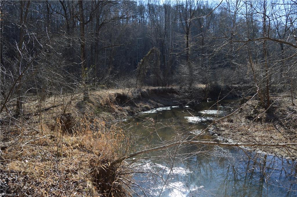0 Moir Farm Road Danbury, NC 27016 - Photo 15 of 26 Gallery Image 15