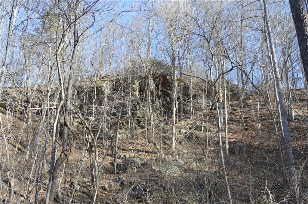 0 Moir Farm Road Danbury, NC 27016 - Photo 17 of 26 Gallery Image 17