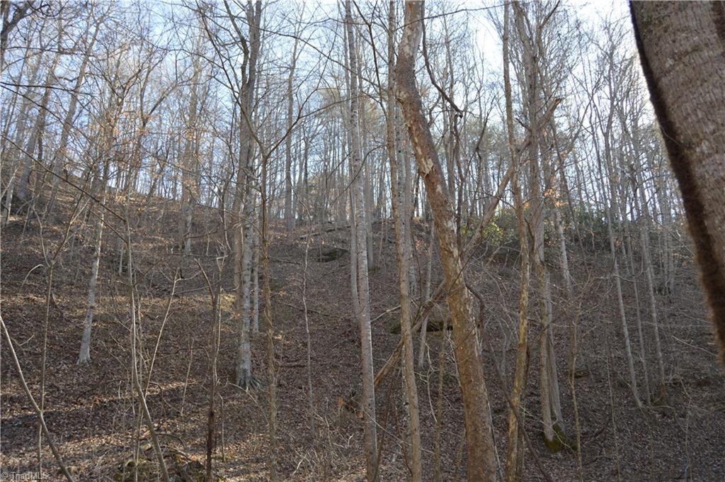 0 Moir Farm Road Danbury, NC 27016 - Photo 18 of 26 Gallery Image 18