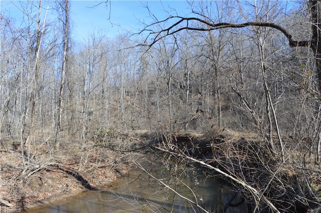 0 Moir Farm Road Danbury, NC 27016 - Photo 20 of 26 Gallery Image 20