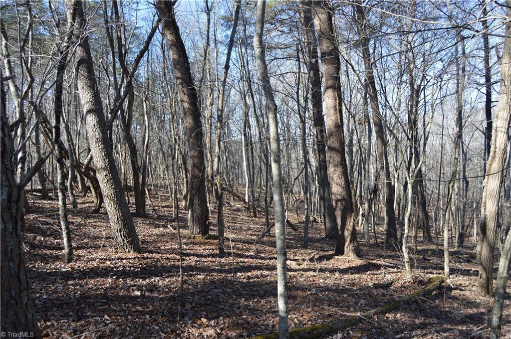 0 Moir Farm Road Danbury, NC 27016 - Photo 3 of 26 Gallery Image 3