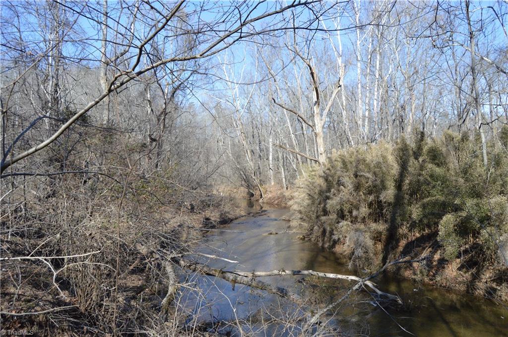0 Moir Farm Road Danbury, NC 27016 - Photo 21 of 26 Gallery Image 21