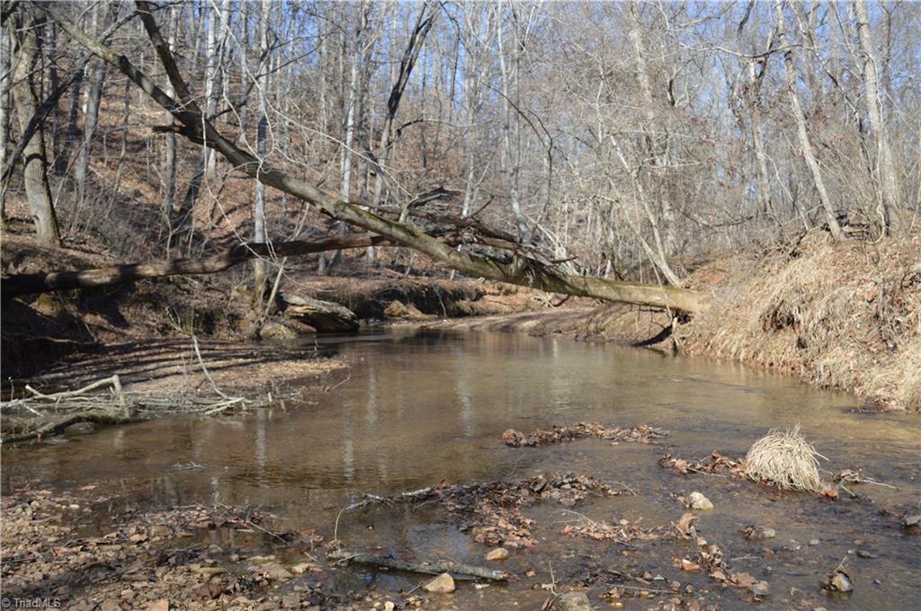0 Moir Farm Road Danbury, NC 27016 - Photo 22 of 26 Gallery Image 22