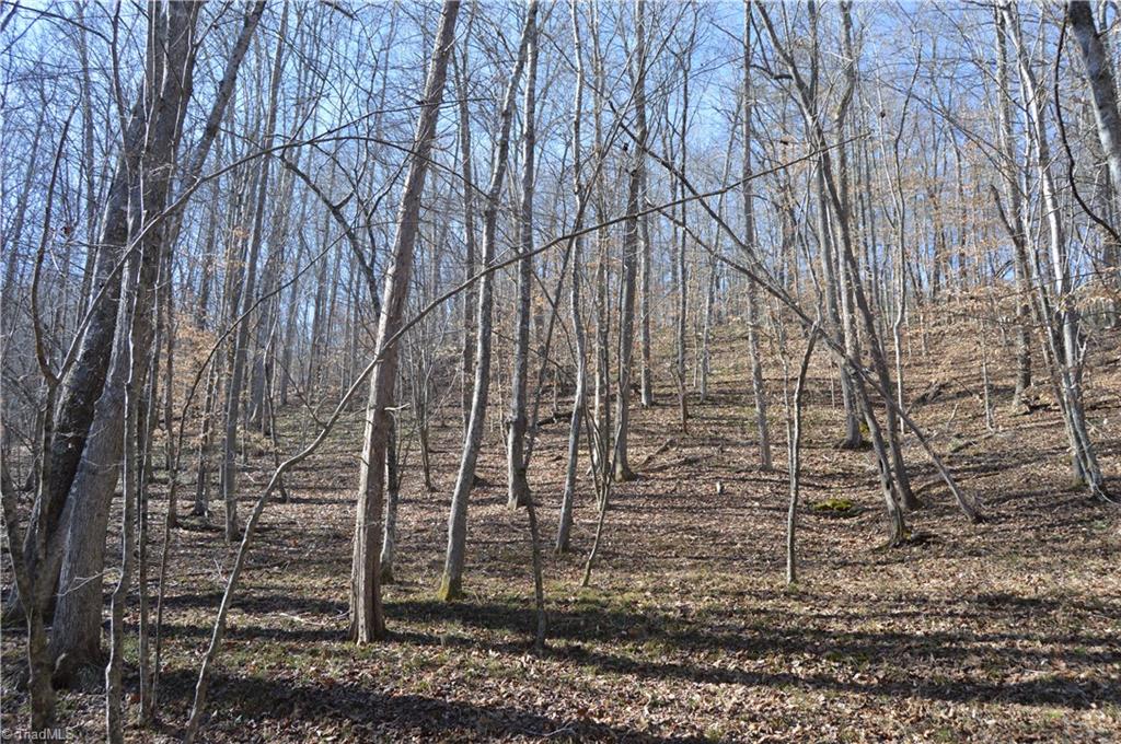 0 Moir Farm Road Danbury, NC 27016 - Photo 23 of 26 Gallery Image 23