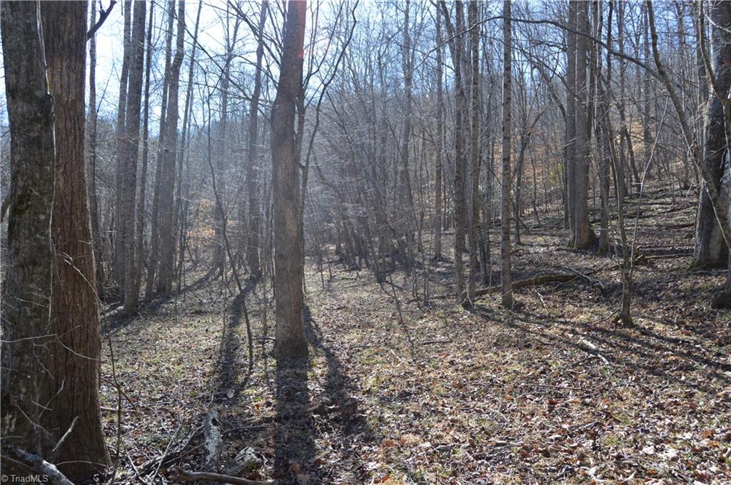 0 Moir Farm Road Danbury, NC 27016 - Photo 24 of 26 Gallery Image 24