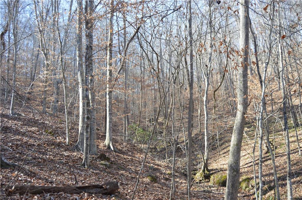 0 Moir Farm Road Danbury, NC 27016 - Photo 25 of 26 Gallery Image 25