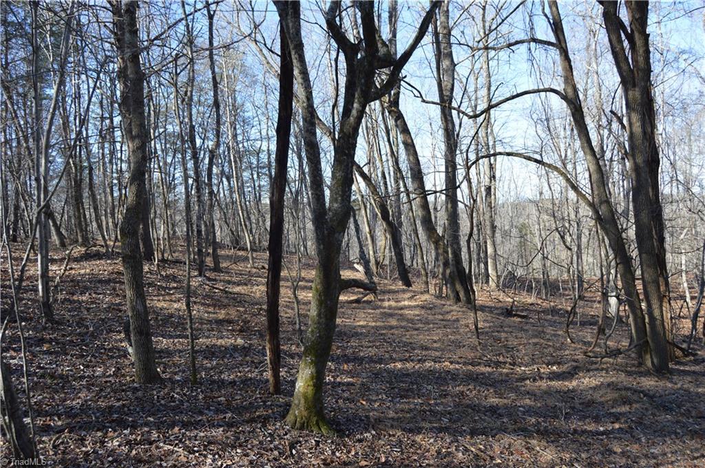 0 Moir Farm Road Danbury, NC 27016 - Photo 4 of 26 Gallery Image 4