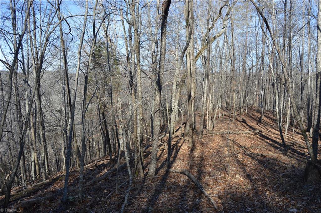 0 Moir Farm Road Danbury, NC 27016 - Photo 5 of 26 Gallery Image 5