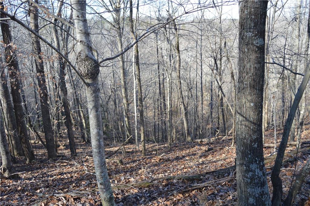 0 Moir Farm Road Danbury, NC 27016 - Photo 6 of 26 Gallery Image 6