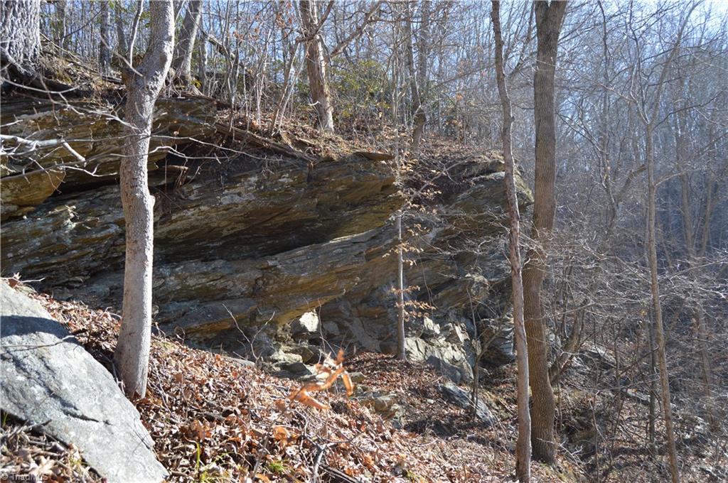 0 Moir Farm Road Danbury, NC 27016 - Photo 7 of 26 Gallery Image 7