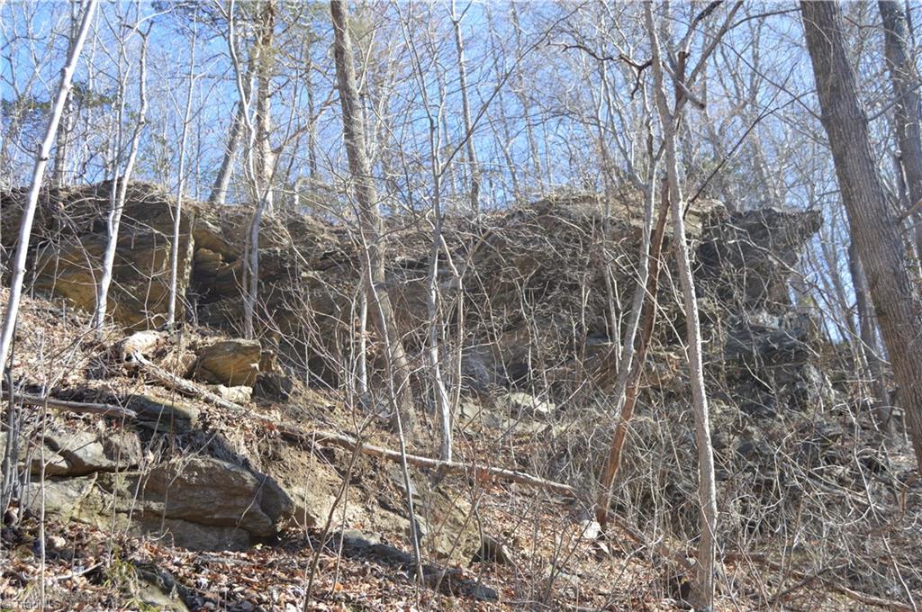 0 Moir Farm Road Danbury, NC 27016 - Photo 9 of 26 Gallery Image 9