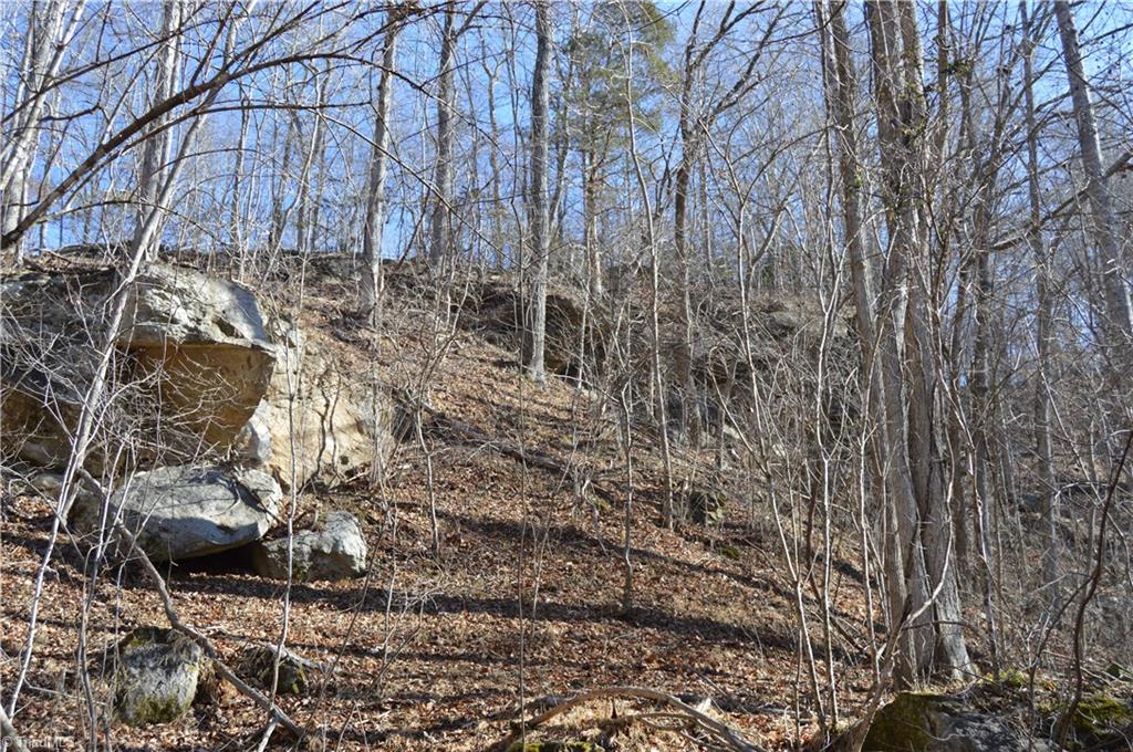 0 Moir Farm Road Danbury, NC 27016 - Photo 10 of 26 Gallery Image 10