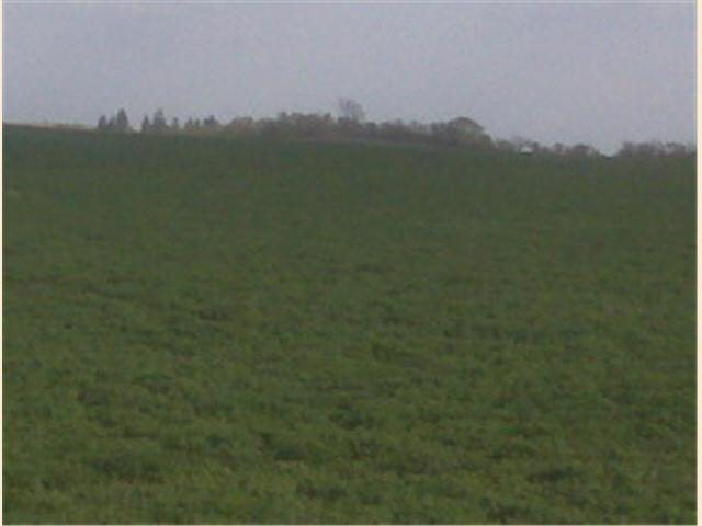 Xxxx County 6 Road Ne Rochester, MN 55906 - Photo 1 of 2 Gallery Image 1