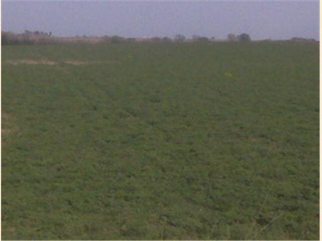 Xxxx County 6 Road Ne Rochester, MN 55906 - Photo 2 of 2 Gallery Image 2