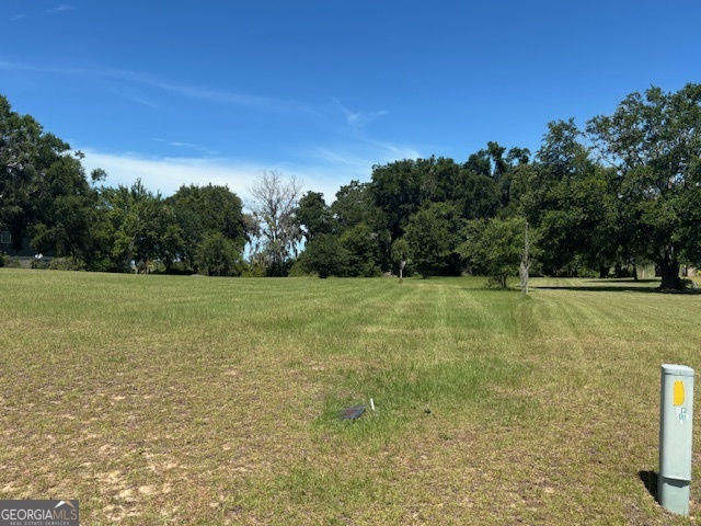3 Bluff Creek Road Midway, GA 31320 - Photo 4 of 16 a view of a field with an trees in the background