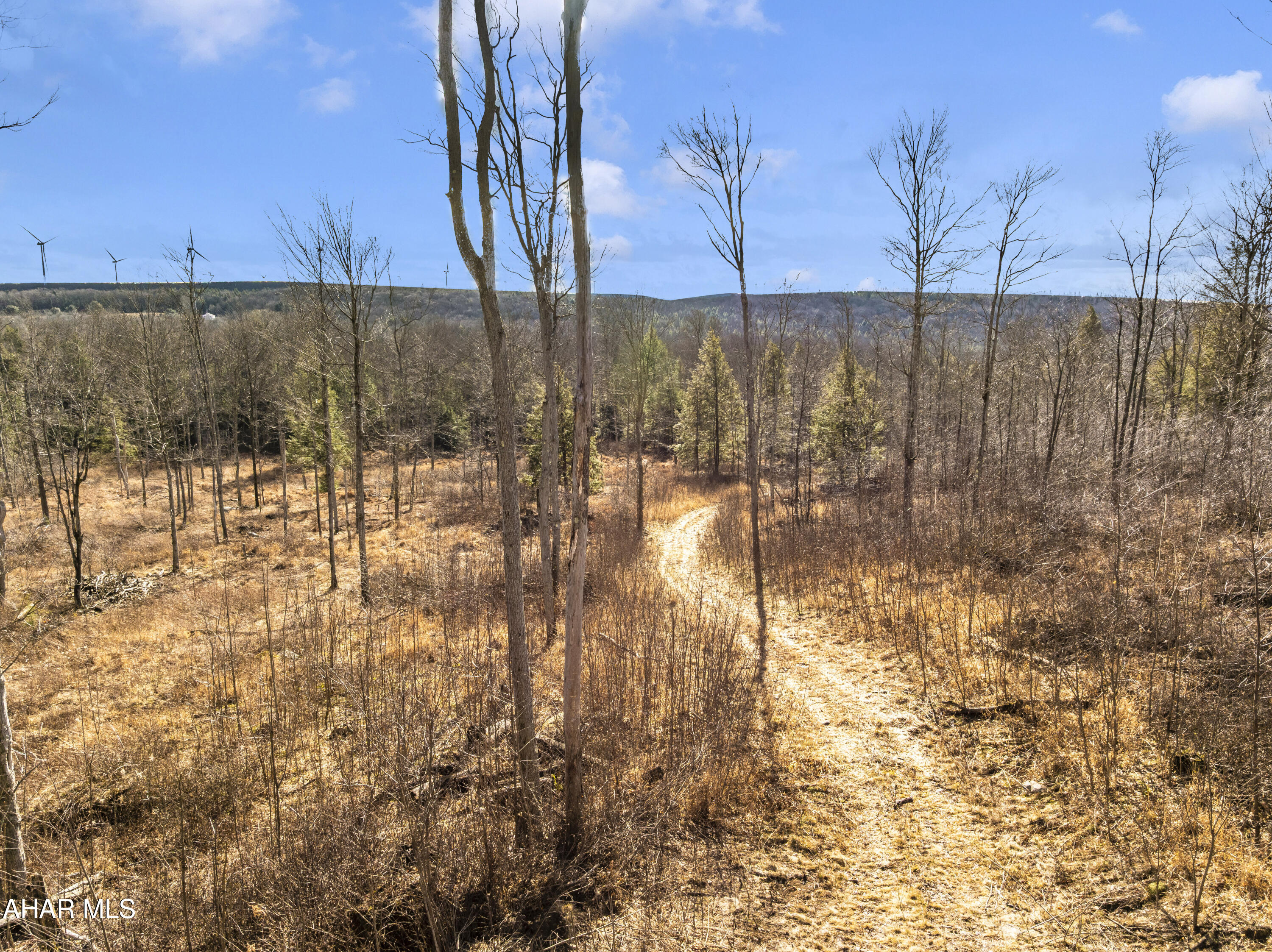 0 Lot 6 Mountain Road Road Lilly, PA 15938 - Photo 6 of 33