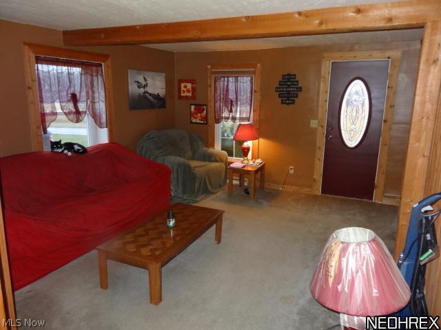 1422 West Morgan Road Jefferson, OH 44047 - Photo 7 of 24 LIVING ROOM