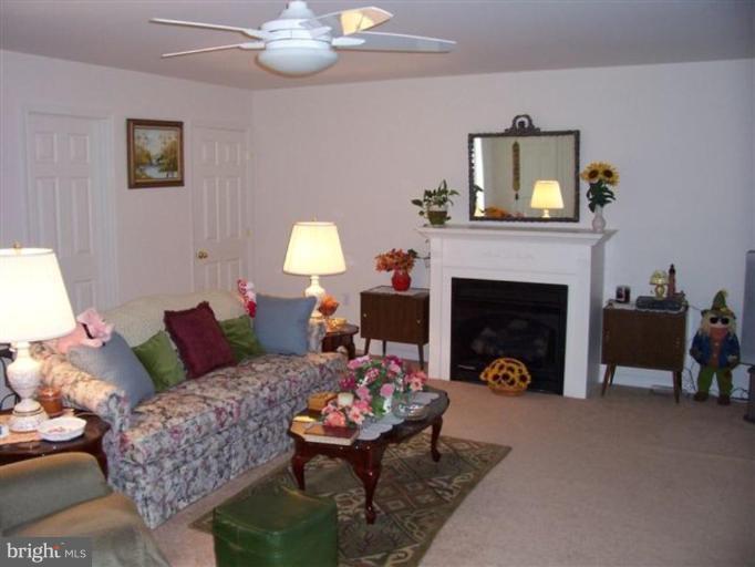 25813 Hunters Point Lane Denton, MD 21629 - Photo 2 of 5 a living room with furniture and a fireplace
