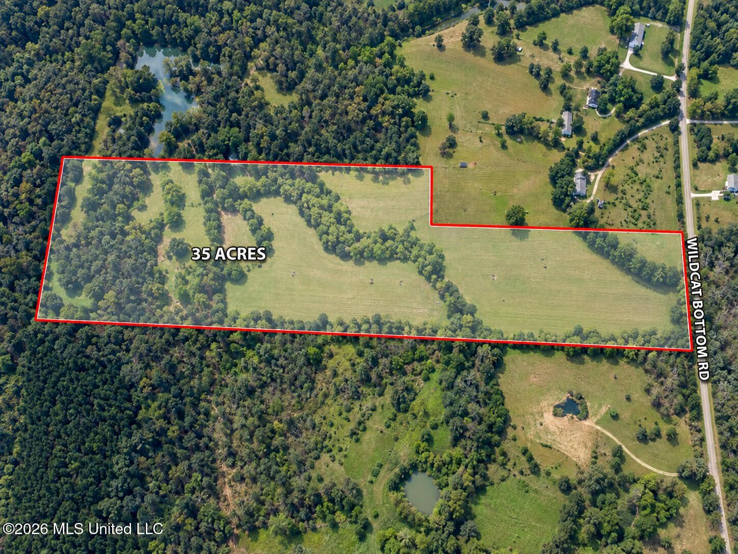 Wildcat Bottom Road Red Banks, MS 38661 - Photo 1 of 17 35 AC. MT. PLEASANT MS