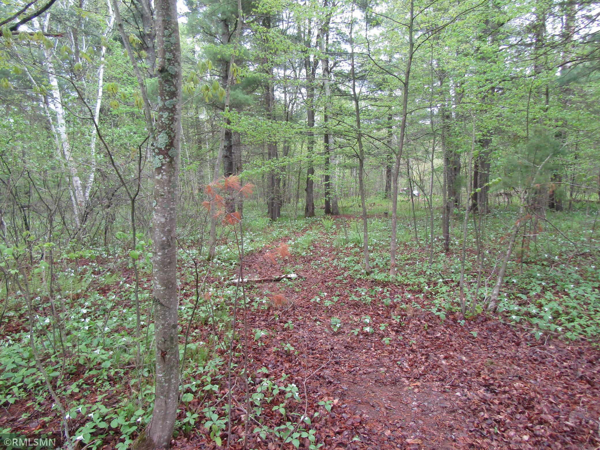 15442 Lofty Pines Road Pine City, MN 55063 - Photo 8 of 9